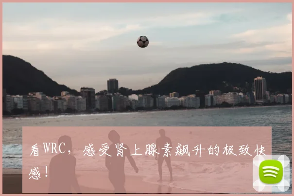 看WRC,感受肾上腺素飙升的极致快感!