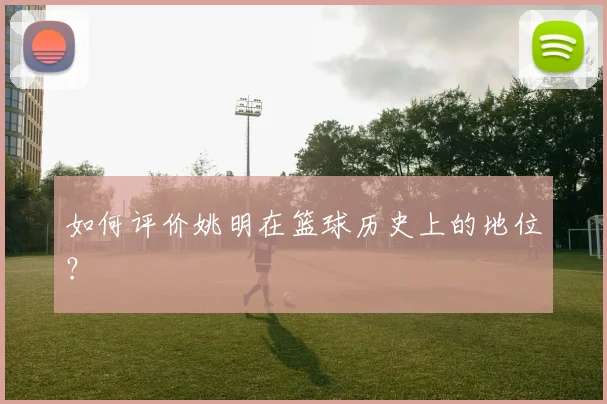 如何评价姚明在篮球历史上的地位?