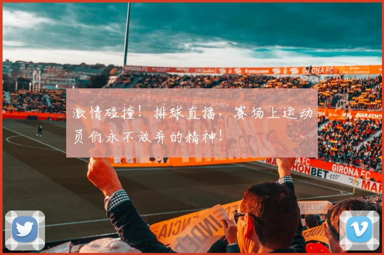 激情碰撞！排球直播，赛场上运动员们永不放弃的精神！