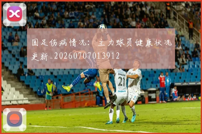 国足伤病情况：主力球员健康状况更新_20260707013912