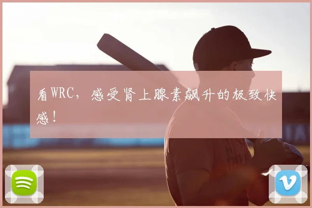 看WRC,感受肾上腺素飙升的极致快感!